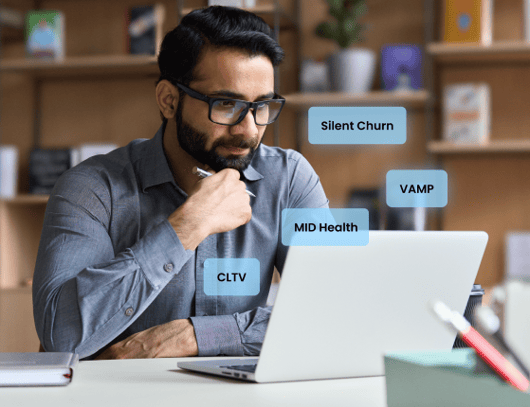User analyzing churn, CLTV, and payment health data.