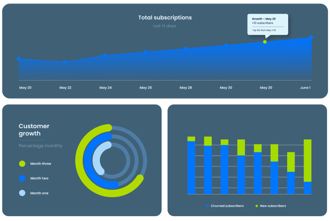 CRM dashboard tracking subscriptions, churn, and customer growth